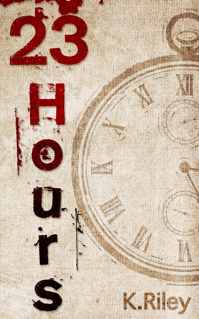 23 Hours Book COver